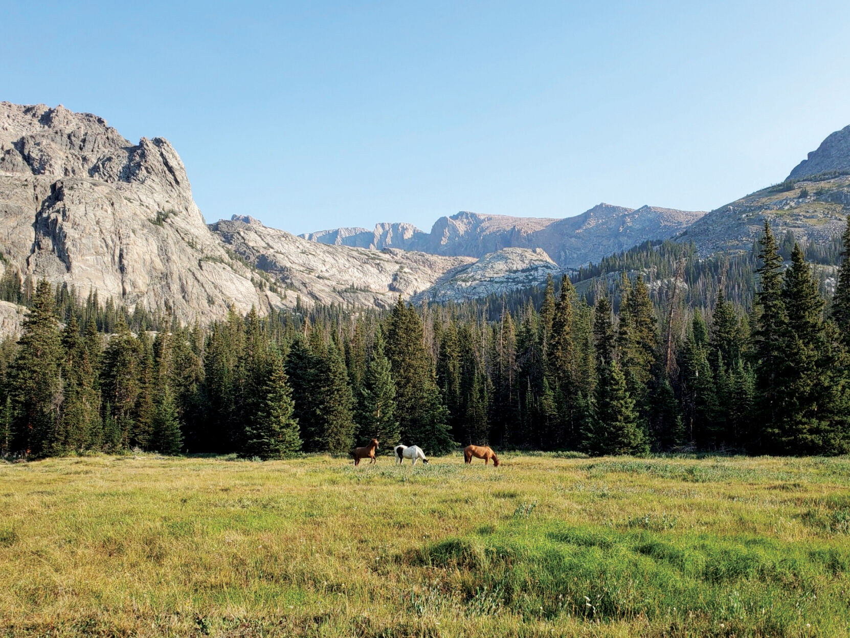 Horses graze below Cloud Peak in the Cloud Peak Wilderness
